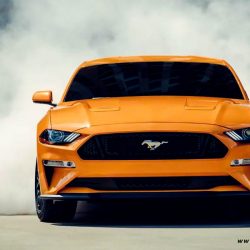 2019 Ford Mustang-9