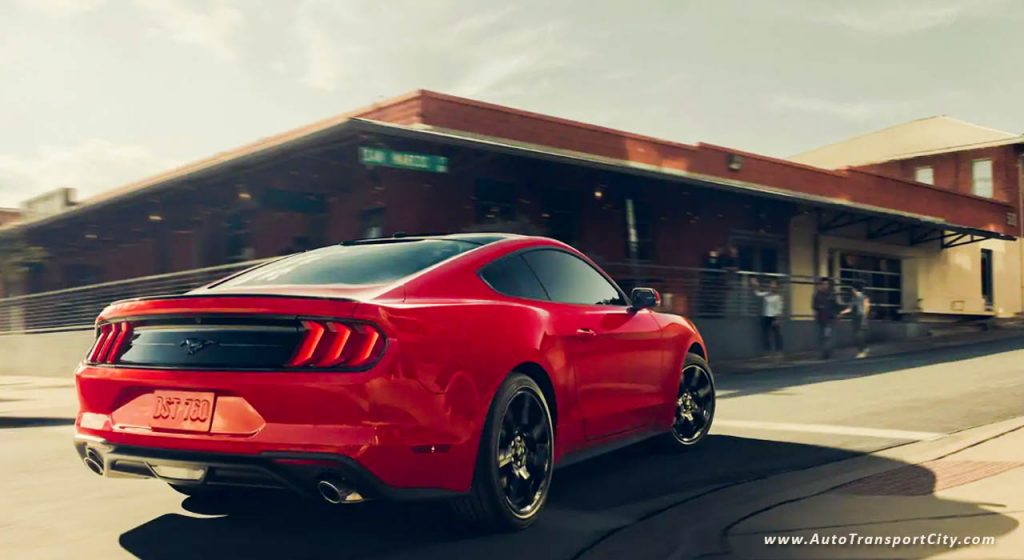 2019 Ford Mustang-7